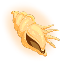 Golden Conch